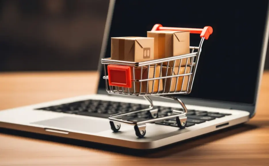 Ce primesti in proiectul de web design